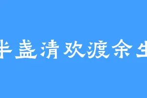 半盏清欢渡余生