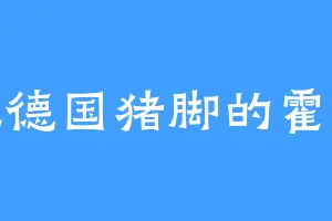 爱吃德国猪脚的霍沉舟