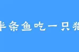 半条鱼吃一只猫
