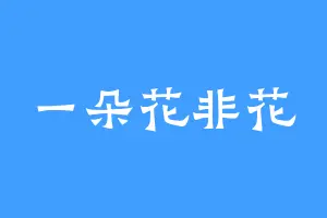 一朵花非花