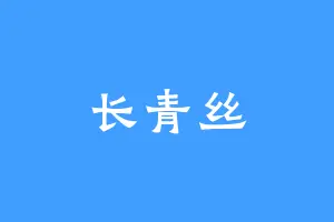 长青丝