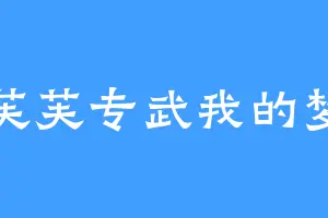 芙芙专武我的梦