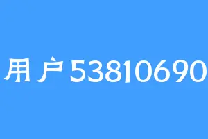用户53810690