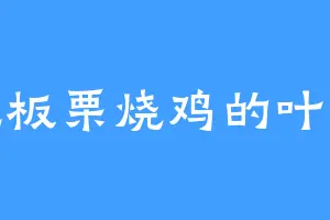 爱吃板栗烧鸡的叶天彪