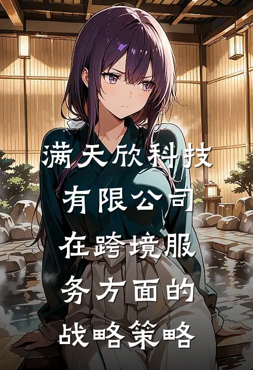 满天欣科技有限公司在跨境服务方面的战略策略