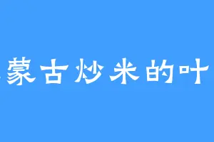 爱吃蒙古炒米的叶三爷