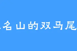 秋名山的双马尾车