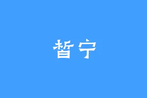 皙宁