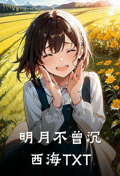 明月不曾沉西海TXT