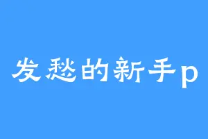 发愁的新手p