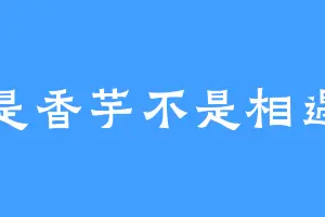 是香芋不是相遇