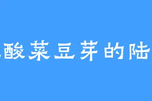 爱吃酸菜豆芽的陆学长