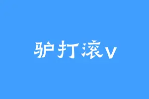 驴打滚v