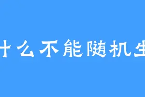 为什么不能随机生成