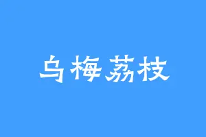 乌梅荔枝