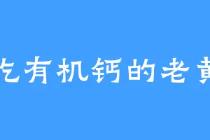 爱吃有机钙的老黄头