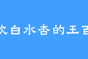 喜欢白水杏的王百锤