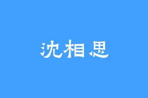 沈相思