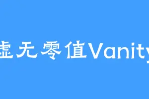 虚无零值Vanity