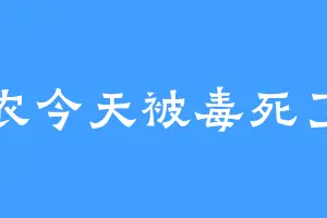 神农今天被毒死了吗