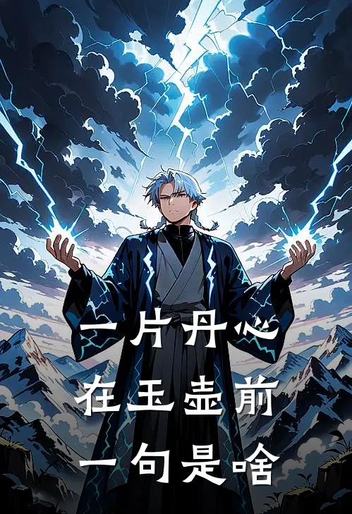 一片丹心在玉壶前一句是啥