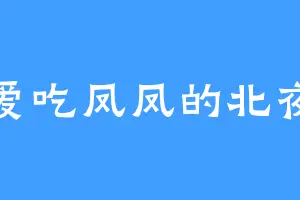 爱吃凤凤的北夜
