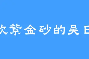 喜欢紫金砂的吴日轩