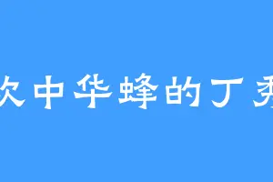 喜欢中华蜂的丁秀兰
