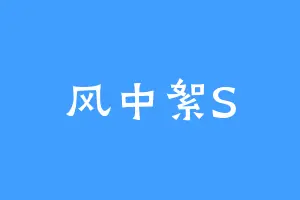 风中絮S