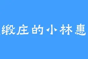 绸缎庄的小林惠子