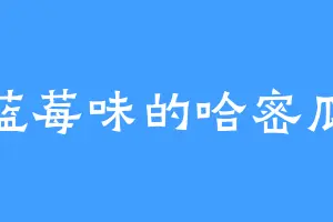 蓝莓味的哈密瓜