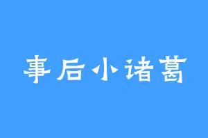 事后小诸葛
