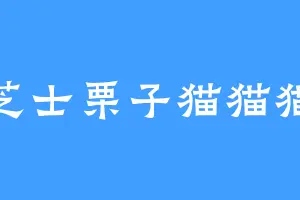 芝士栗子猫猫猫