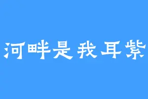 河畔是我耳紫