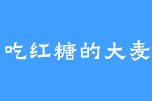 爱吃红糖的大麦茶