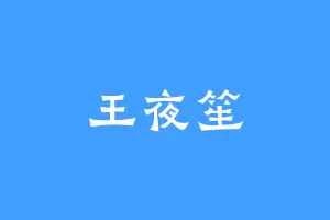 王夜笙