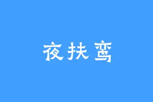 夜扶鸾