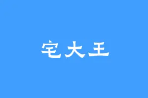 宅大王