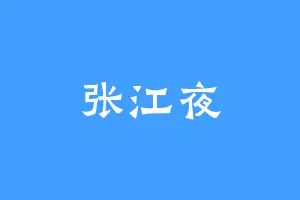 张江夜