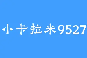 小卡拉米9527