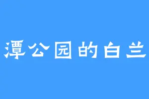 剑潭公园的白兰兰